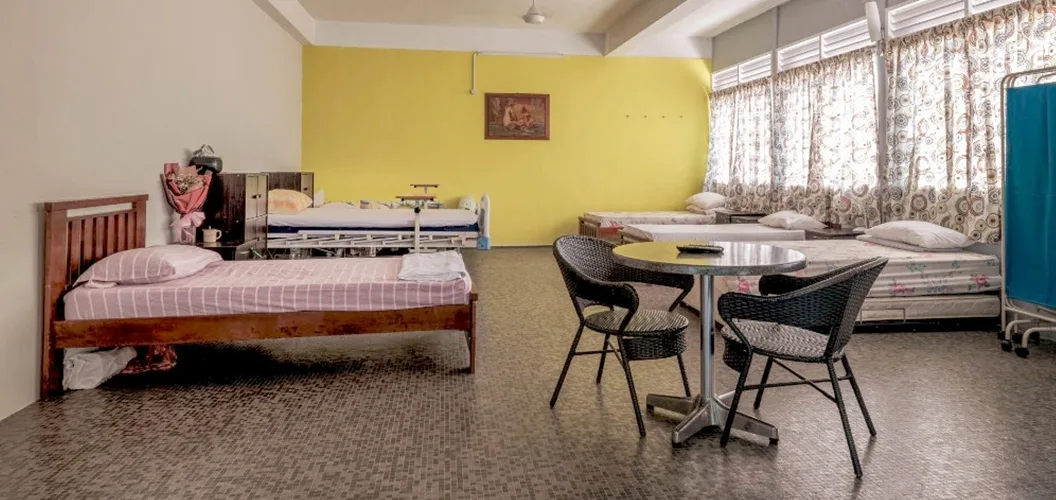 A private room with a single bed, a bedside table and a window onto greenery